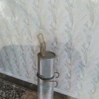 اگزوز