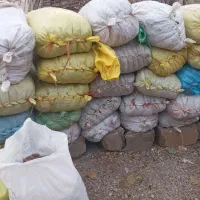 بلوط|حیوانات مزرعه|کارزان, |دیوار