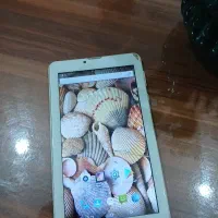 تبلت ساینا|تبلت|رشت, حمیدیان|دیوار