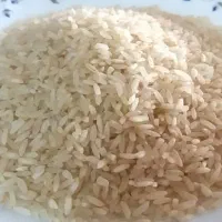 برنج کامفیروز عالی ومعطربامرجوعی باکالابرگ وغیرو..