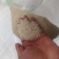 برنج هاشمی درجه یک