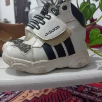 کفش کودک