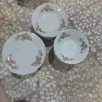 فروش چینی گل سرخ