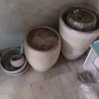 گلدان سفالی|گل و گیاه طبیعی|کرج, برغان|دیوار