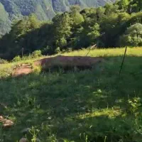 فروش زمین دوهزار روستای گلستان محله