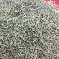 آویشن باریک