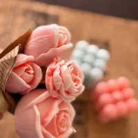 استخدام مربی