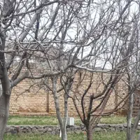 خانه-باغ-ویلایی