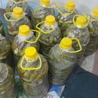 خیار شور