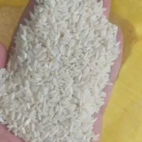 برنج عنبربو