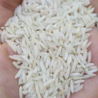برنج هاشمی اصل گیلان مستقیم از کشاورز