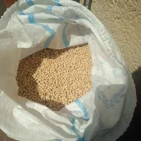 نخود تازه محلی