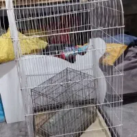 قفس پرنده
