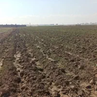 زمین-کشاورزی-باغداری