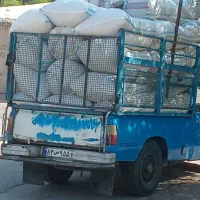 کاه دیم