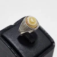 باباقوری تک چشم نیمروی