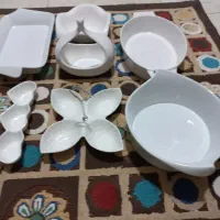 ظروف پذیرای