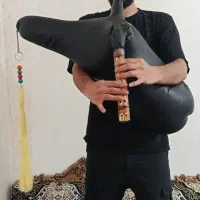 نی همبون تک رنگ