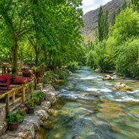 تور بک روزه کوهمره سرخی