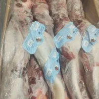 زبان گوساله زیر قیمت بازار