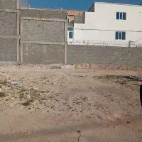 زمین ثبت تک برگ