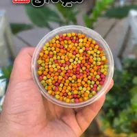 پلت میوه ای بهترین خوراک طوطی|لوازم جانبی حیوانات|قم, نخودی|دیوار