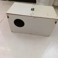 لانه مخصوص تخم گذاری عروس هلندی