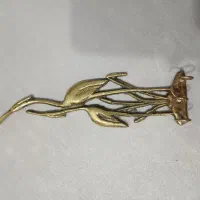 جاکلیدبرنج