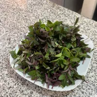 سبزی نعنا فلفلی و اویشن