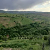 فروش-باغ-انگور-روستای-گلی-کنار-جاده