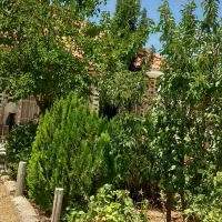 ف-وش-باع-شهری-کودیان
