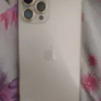 12pro max