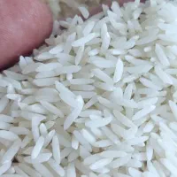 برنج هاشمی گیلان اعلا