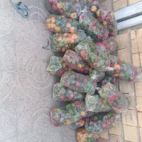 فقط فقط کیسه 100هزار تومان