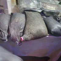 مشک یا خیک ماست