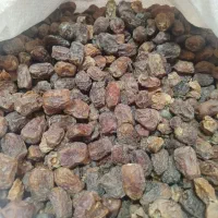 غذای گاو و گوسفند