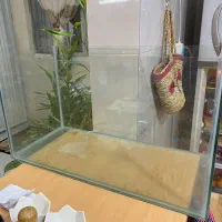 آکواریوم حرفه ای و بزرگ