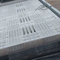 پالت پلاستیکی