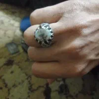 شجر کلکسیونی و ۳۰گرم انگشتر نقره ۳۳۰تومنی