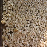 موسیر خشک درجه یک