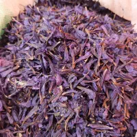 گل گاوزبان امساله