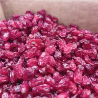 زرشک دانه اناری، پفکی عناب بیرجند،حبه عناب