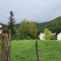 کود و خاک باغچه