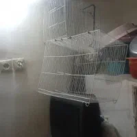 فروشی دوتاش باهم