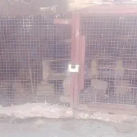 یک عدد فنس بزرگ تمام فنس هستش