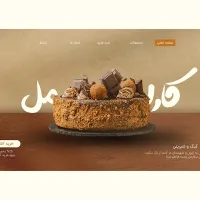 طراحی سایت حرفهای با قیمت مناسب + تحویل فوری