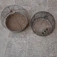 قفس پرنده