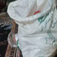 برنده شاهین دلیجه