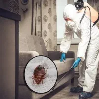 سم پاشی منازل