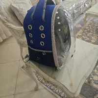 کیف پرنده